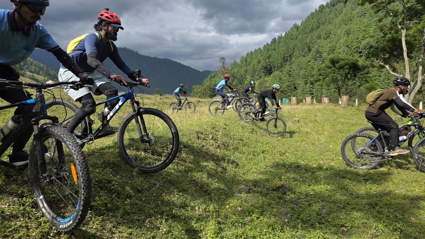 Group of mountain bikers riding across a green hillside